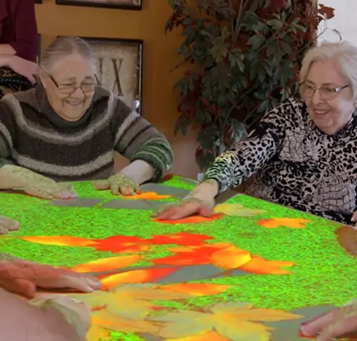 Interactive Indoor Games for Seniors